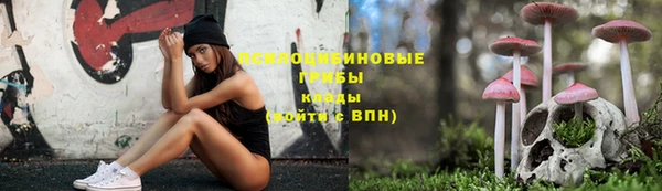 спиды Абинск
