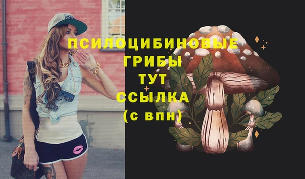 спиды Абинск