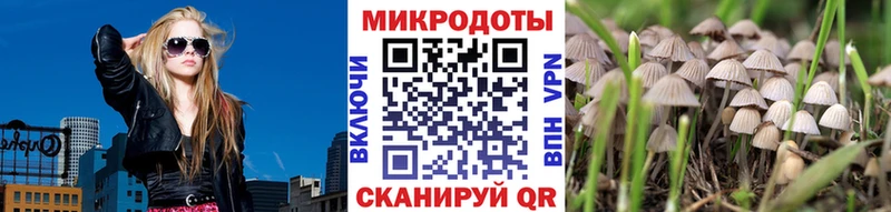 blacksprut маркетплейс Шумерля Псилоцибиновые грибы Psilocybe