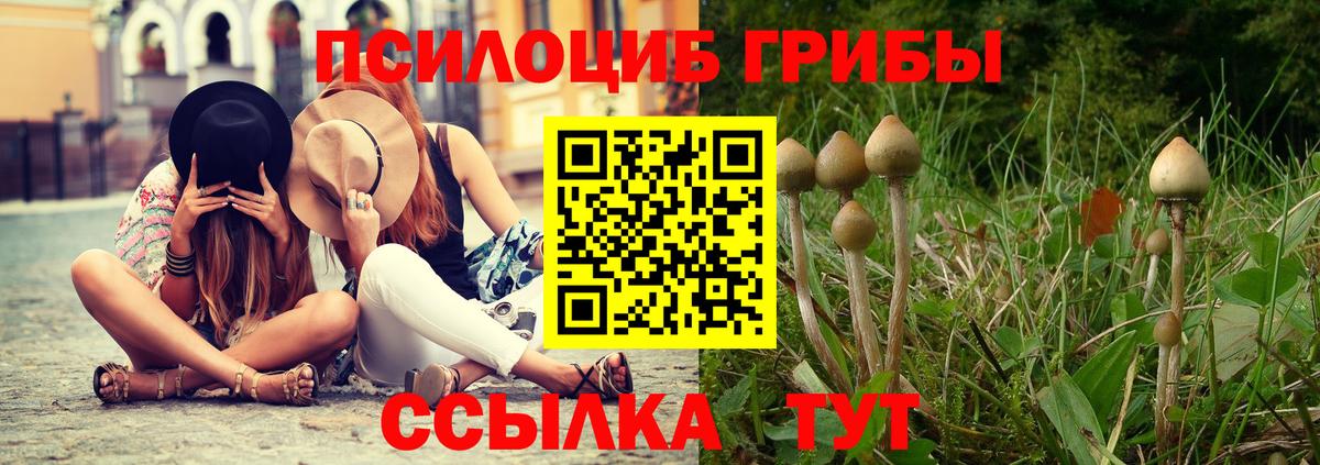 Шумерля  Псилоцибиновые грибы Magic Shrooms  Галлюциногенные грибы GOLDEN TEACHER  Вход с VPN 